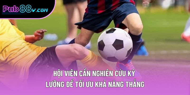 Hội viên cần nghiên cứu kỹ lưỡng để tối ưu khả năng thắng